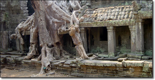 Ta Prohm