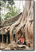 Giant Tree