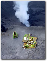 Bromo Offering