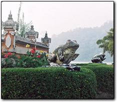 Temple in Candikuning