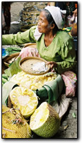 Jackfruit seller