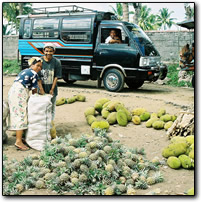 Indonesian Bemo with fruit transport