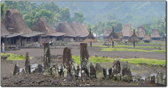 Traditional village near Bajawa
