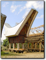 Torajan rice barn