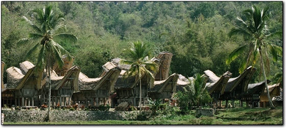Traditional village, Tanah Toraja