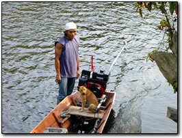 Hunting dog in the boat with Ding
