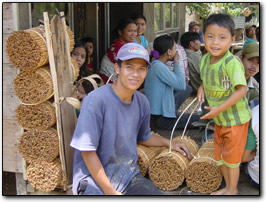 Cinamon Harvest