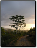 Path near Ruteng at sunset