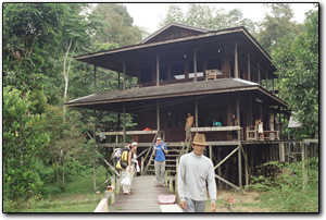 Lodge in Kutai National Park