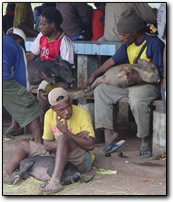 Pig market, Wamena