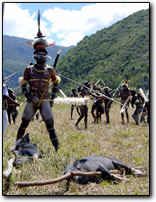 Baliem festival