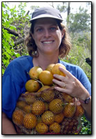 Passion fruit - fresh from the vine