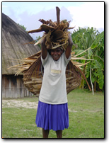 Papuan woman carrying wood