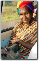 Pig transport