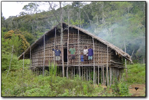 Traditional house