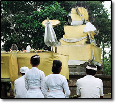 Temple monkey