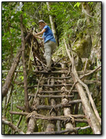 Rattan ladder