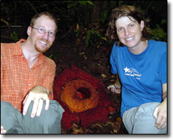 Posing with a raffalesia