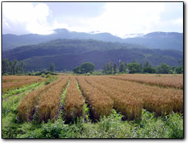 Countryside near Lijiang