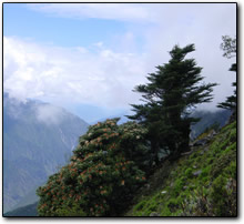 Rainbow, Tiger Leaping Gorge