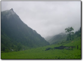 Lush valley
