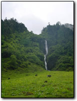 Waterfall