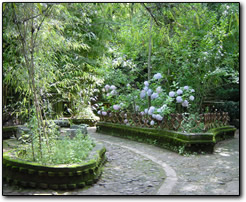 Temple garden, Kunming