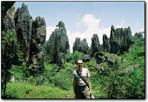 Stone forest